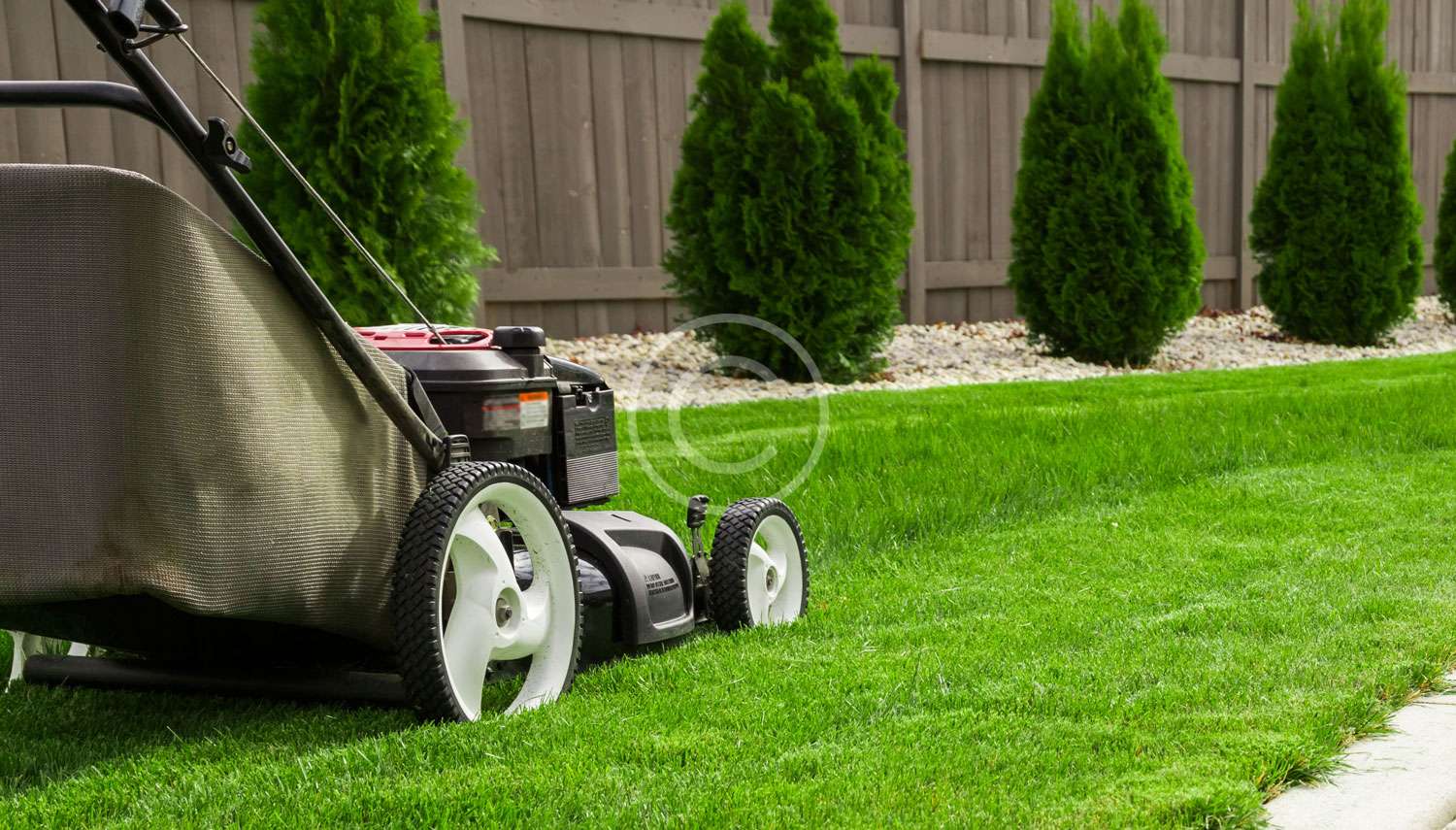 Professional lawn care services